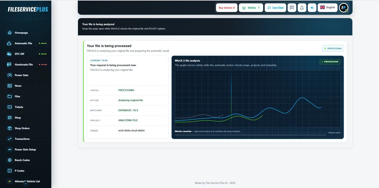 File Service Plus automatic file processing screen